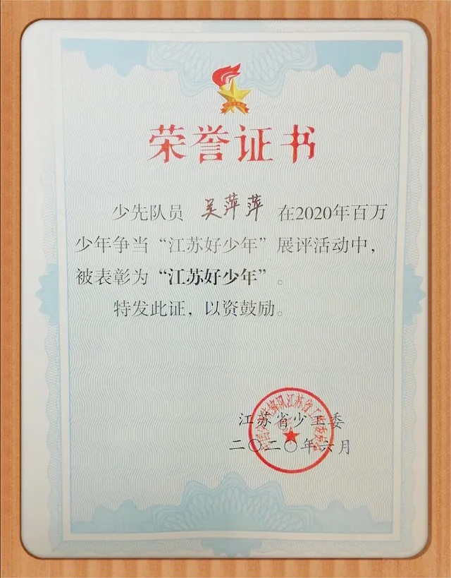 【“村”色满园】青春不等闲 勤奋结硕果 ——临湖第一中学“江苏好少年”获得者吴萍萍